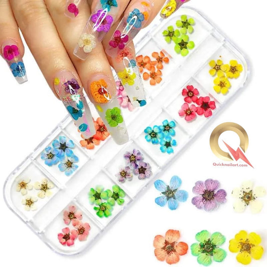 3D Natural Dried Flower