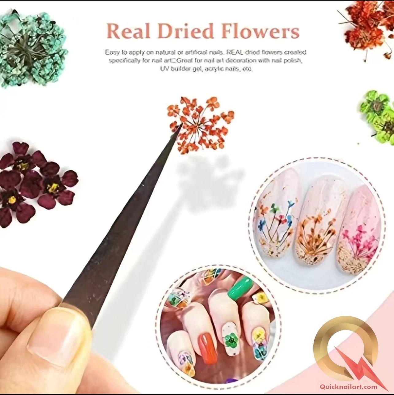 3D Natural Dried Flower