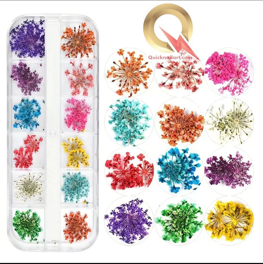 3D Natural Dried Flower