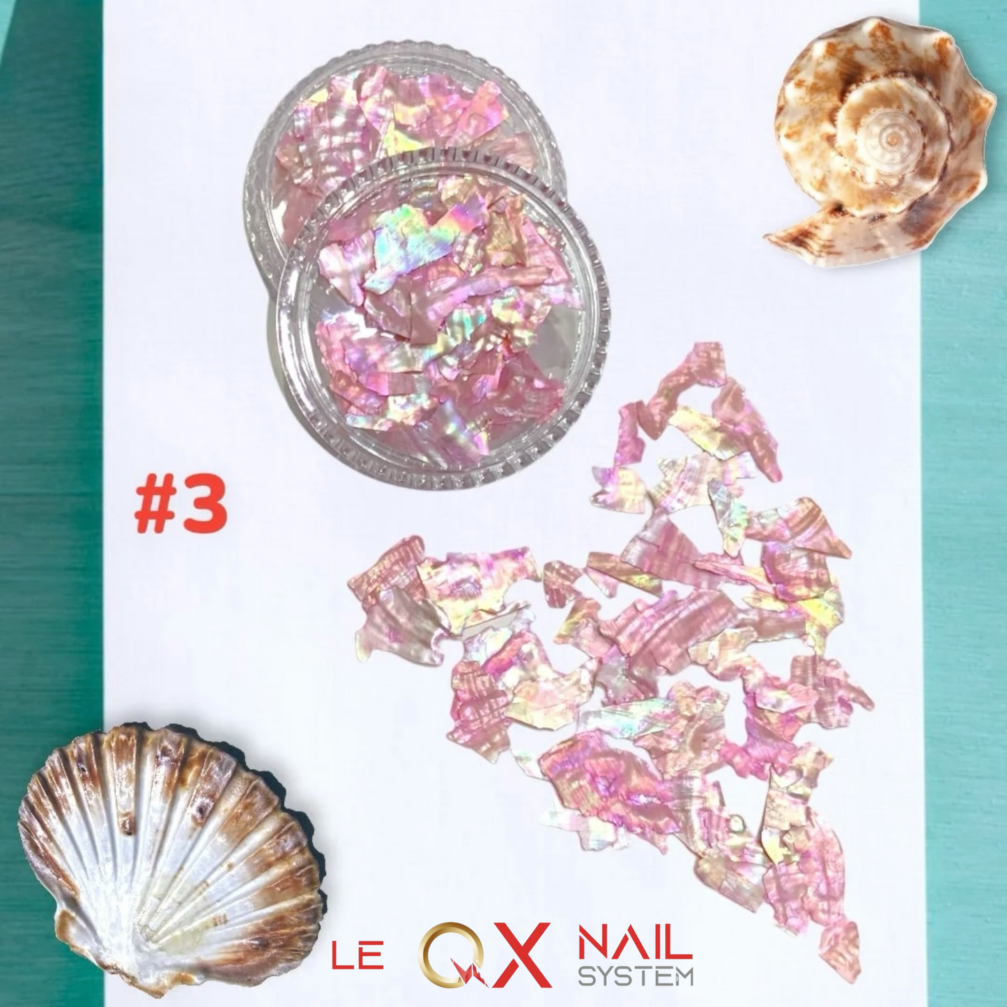 Abalone Flakes Pearlescent Shell Slices