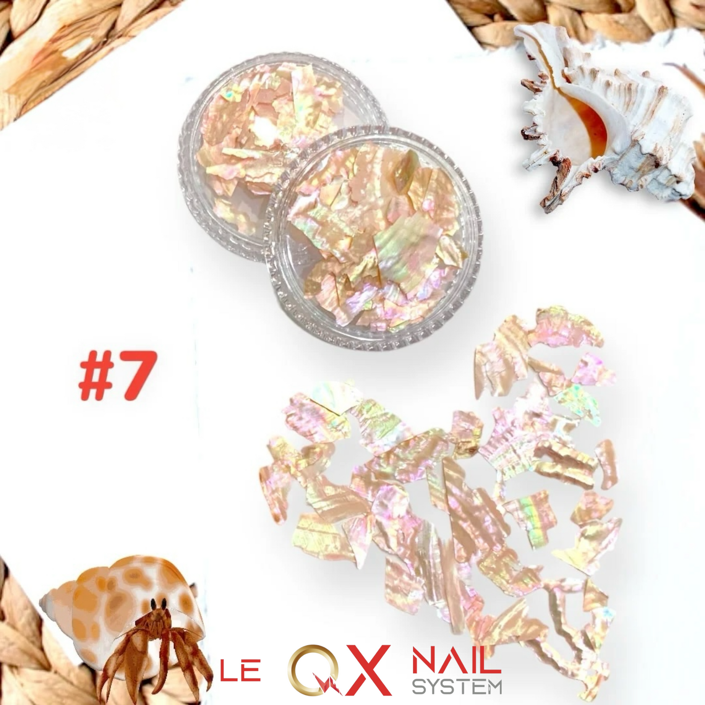 Abalone Flakes Pearlescent Shell Slices